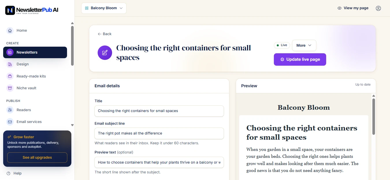 NewsletterPub AI Step 2
