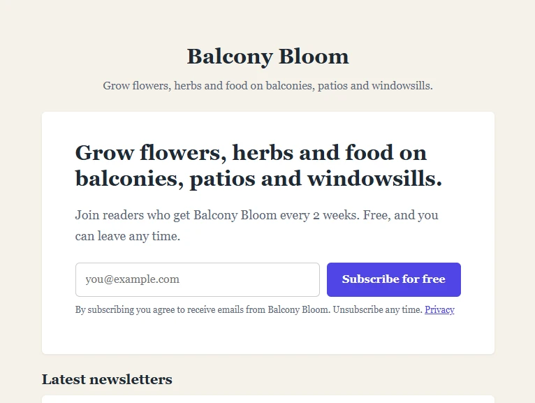 NewsletterPub AI Step 3